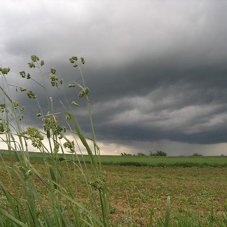 Agroturystyka Kalina Wielka 外观 照片